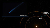 Asteroid P 2010 A2 break-up