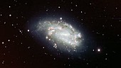Supernova SN2005df in NGC 1559