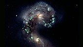 The Antennae interacting galaxies