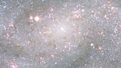 Galaxy NGC 300