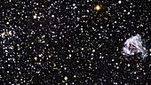 Large Magellanic Cloud objects