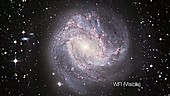Pinwheel Galaxy M83, visible and IR