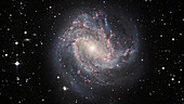 Zoom in to Messier 83