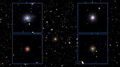 Perseus Cluster galaxies