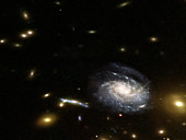 Galaxy ripped apart by galaxy cluster