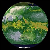 Indian Ocean rainfall