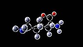 Lysine amino acid molecule