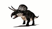 Zuniceratops dinosaur running