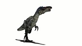 Suchomimus dinosaur walking