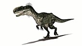 Monolophosaurus dinosaur walking