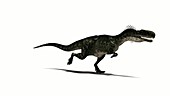 Monolophosaurus dinosaur running