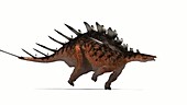 Kentrosaurus dinosaur running