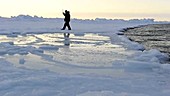 Melting sea ice