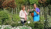 Man handing over a plant