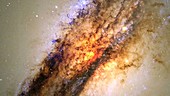Centaurus A galaxy, HST view