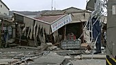 Japan earthquake and tsunami damage, 2011