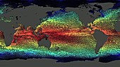 Ocean currents and surface temperatures