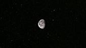 Lunar surface, LRO view