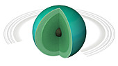 Uranus's internal structure