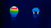 Light bulb comparison, thermography