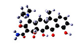 Tetracycline antibiotic molecule