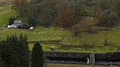 Sheep in a field, timelapse