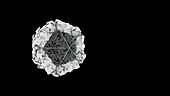Building an icosahedral virus