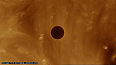Transit of Venus 2012