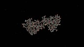 Calmodulin protein, molecular model