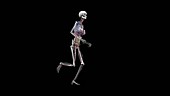 Female body with organs, running
