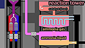 Haber process making ammonia