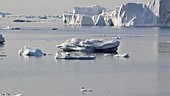 Research boat amongst icebergs