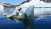 Small iceberg, Greenland