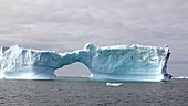 Glacial iceberg, Greenland