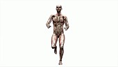 Male body running