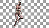 Male body running