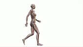 Female body walking