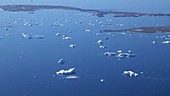 Coastal icebergs, Greenland