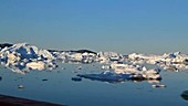 Glacial icebergs, Greenland