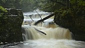 Horseshoe falls, Wales