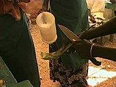 Making Aloe turkanensis products, Kenya