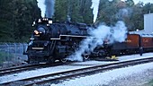 Diesel and steam locomotives