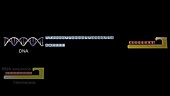 Addition of a telomere to DNA, animation