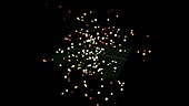 Star cluster simulation, 255 stars