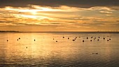 Tides and boats, timelapse