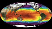 Global sea surface temperatures