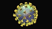 HIV particle, animation