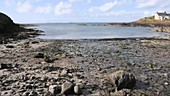 Tide coming in, timelapse