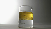 Solubility of fatty acid