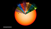 Sun observed at different wavelengths